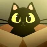 Do NOT Take This Cat Home