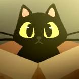 Do NOT Take This Cat Home