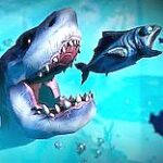 Feed and Grow: Fish