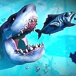Feed and Grow: Fish